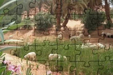 MARSU jigsaw puzzle