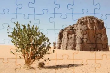 MARSU jigsaw puzzle