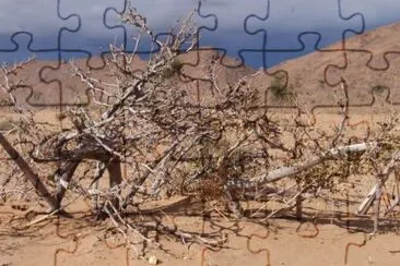 MARSU jigsaw puzzle