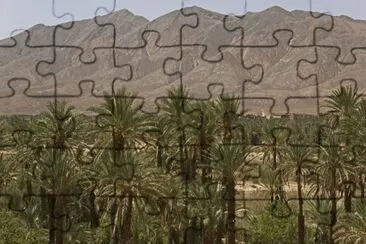 MARSU jigsaw puzzle
