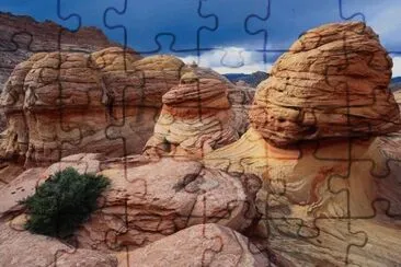 MARSU jigsaw puzzle