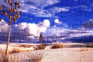 MARSU jigsaw puzzle