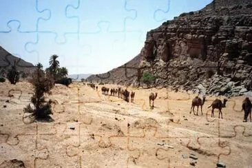 MARSU jigsaw puzzle
