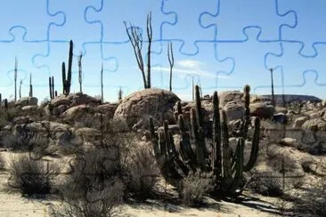 MARSU jigsaw puzzle