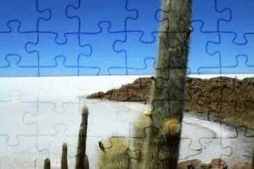 MARSU jigsaw puzzle