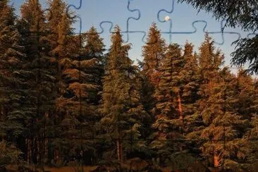 MARSU jigsaw puzzle