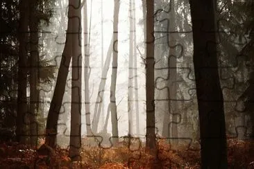 MARSU jigsaw puzzle