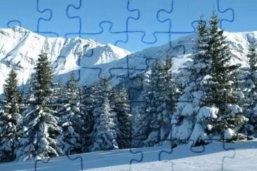 MARSU jigsaw puzzle