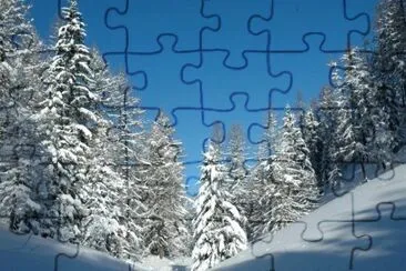 MARSU jigsaw puzzle