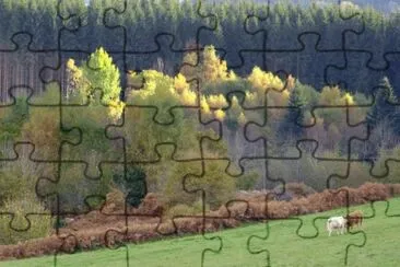MARSU jigsaw puzzle