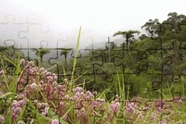 MARSU jigsaw puzzle