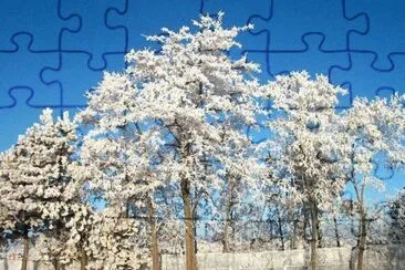 MARSU jigsaw puzzle