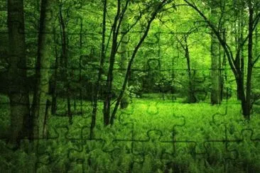 MARSU jigsaw puzzle