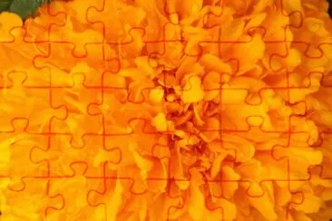 MARSU jigsaw puzzle