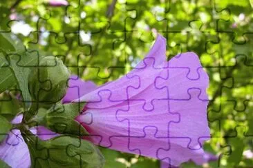 MARSU jigsaw puzzle