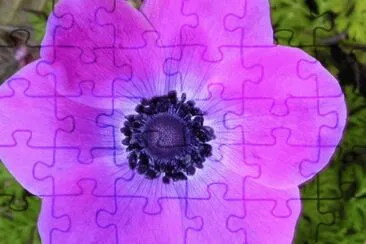 MARSU jigsaw puzzle