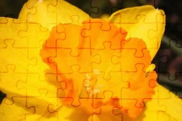 MARSU jigsaw puzzle