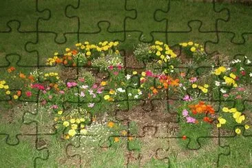 FLORES jigsaw puzzle