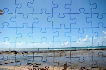 Praia do Forte jigsaw puzzle