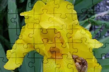 MARSU jigsaw puzzle