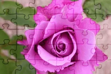 MARSU jigsaw puzzle
