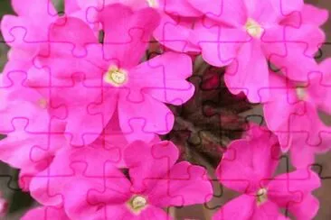 MARSU jigsaw puzzle