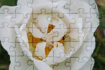 MARSU jigsaw puzzle