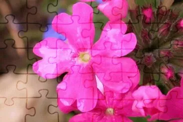 MARSU jigsaw puzzle