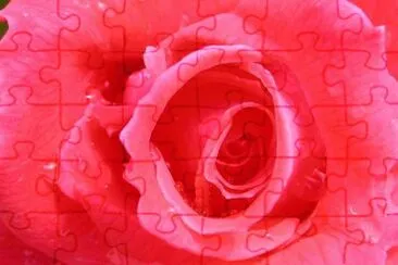 MARSU jigsaw puzzle