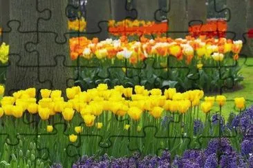 flor jigsaw puzzle