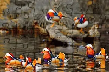 natureza jigsaw puzzle
