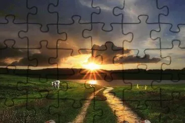 pato jigsaw puzzle