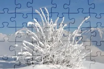 MARSU jigsaw puzzle