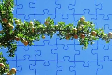 MARSU jigsaw puzzle