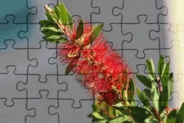 MARSU jigsaw puzzle