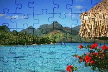gjfg jigsaw puzzle
