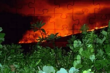 MARSU jigsaw puzzle