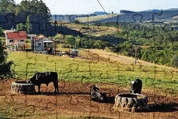 lugares jigsaw puzzle