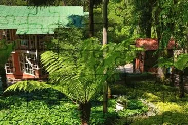 natureza jigsaw puzzle