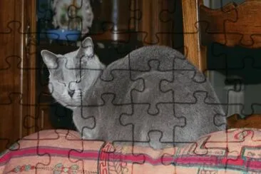 MARSU jigsaw puzzle