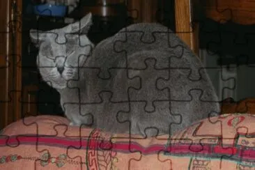 MARSU jigsaw puzzle