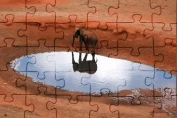 MARSU jigsaw puzzle