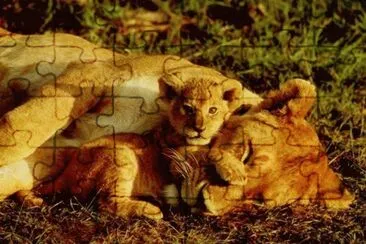 MARSU jigsaw puzzle