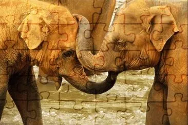 MARSU jigsaw puzzle