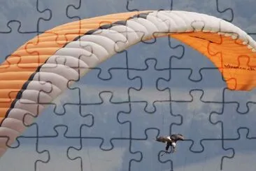 MARSU jigsaw puzzle