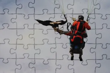 MARSU jigsaw puzzle