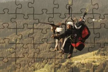 MARSU jigsaw puzzle