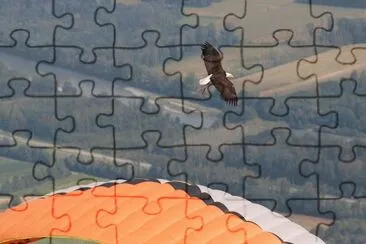 MARSU jigsaw puzzle