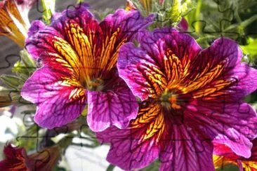 Leadville wild Flowers jigsaw puzzle
