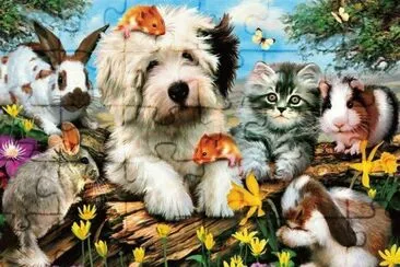 animais